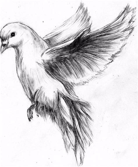 A Drawing Of A Bird Flying In The Air