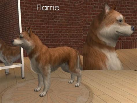 Mod The Sims Realistic Siberian Huskies
