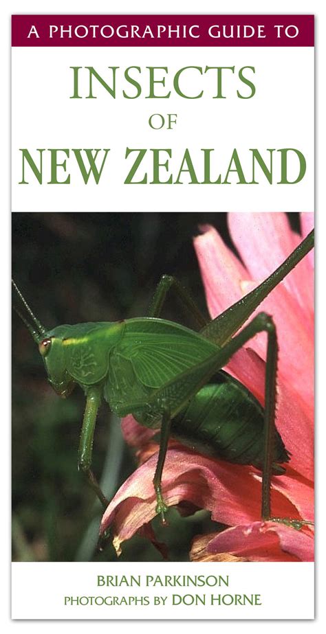 A Photographic Guide To Insects Of New Zealand On Behance