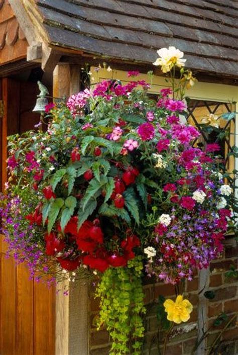 7 Beautiful Hanging Flower Basket Ideas Vine House Plants Ivy Plants Foliage Plants Potted
