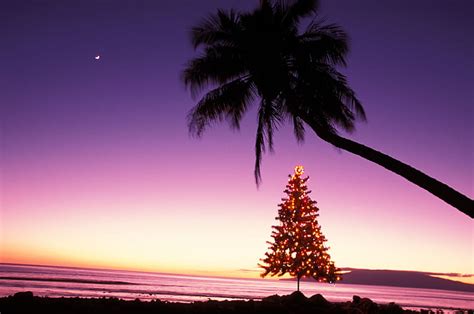 1920x1080px 1080p Free Download Christmas At Olowalu Maui Hawaii