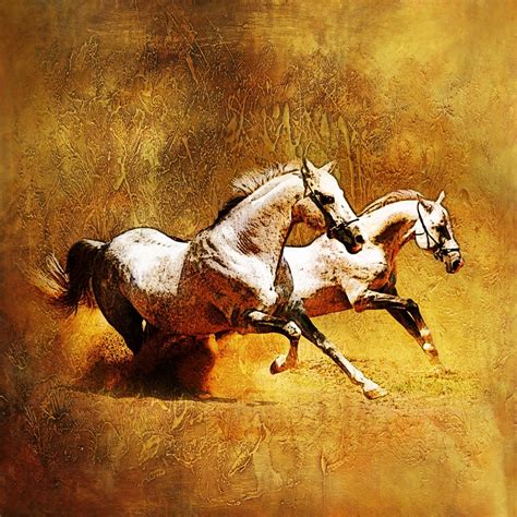 Horse02 Handpainted Art Painting 24in X 24in By Fizdi