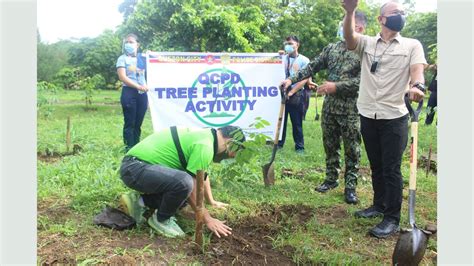 Denr Qcpd Conduct Tree Planting Activity