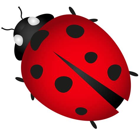 Beetle Ladybird Plagg Clip Art Ladybug Png Download 60005653