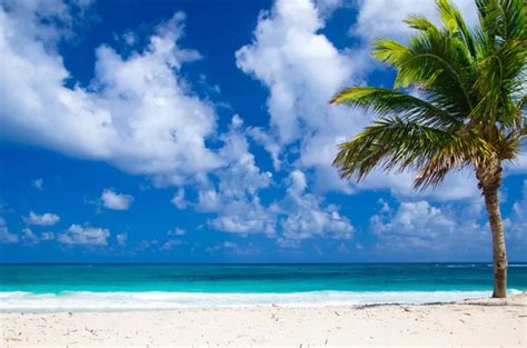 Caribbean Beach — Stock Photo © Haveseen 1537481