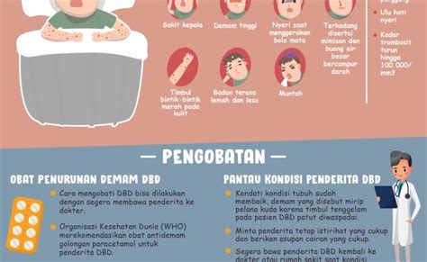 Cara Pencegahan Demam Berdarah Dengue Dbd