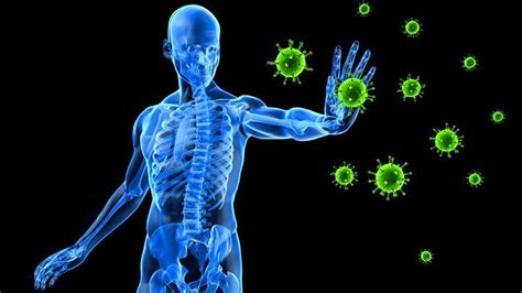 amazing facts   immune system everyday health