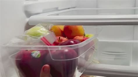 Consejos Para Organizar Tu Refrigerador Tus Alimentos Y Cuidar Tu Dinero Tu Ciudad El News