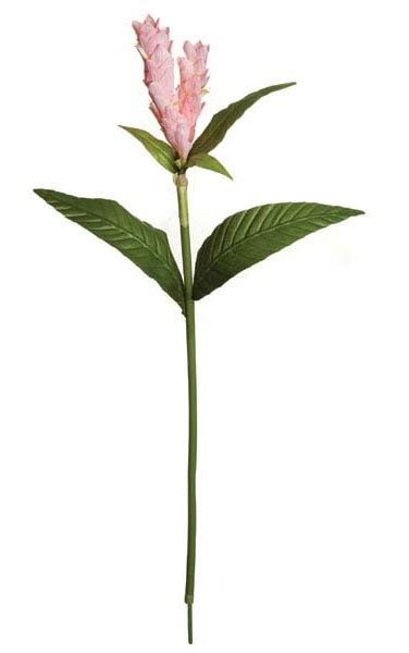 earthflora faux flowering branches 28 ginger stem pink