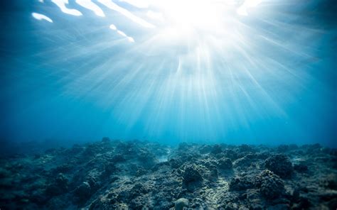Download Wallpaper 3840x2400 Underwater World Ocean Corals Light 4k Ultra Hd 1610 Hd Background