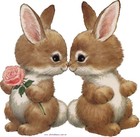 conejos cartões bonitos bichinhos fofos imagens fofas