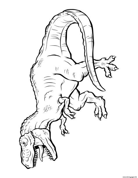 Giganotosaurus Coloring Pages Dinossauro Rex Pintar Dinossauros Porn