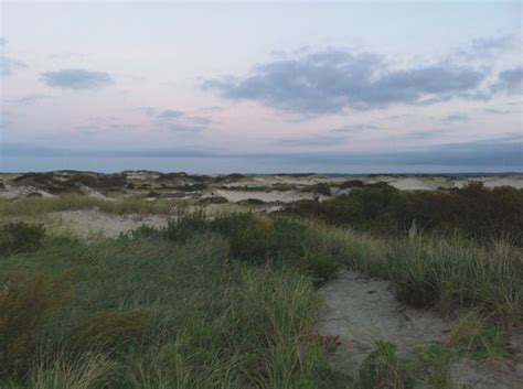 The barrier beach at sandy neck extends 6.5 miles along cape cod bay, backed the entire way by undulating dunes and a scenic salt marsh. Sandy Neck Beach Park, Barnstable, MA | Nature adventure ...