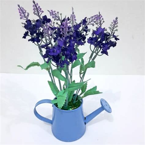 10 Gambar Bunga Lavender Biru Galeri Bunga Hd