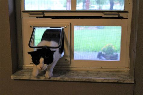 This diy cat door is a simple solution for those of you who don't want to permanently alter your interior doors or if you live in a rental and aren't allowed to make any big modifications. DIY Build: Window Cat Door in 2020 | Cat door, Windows, Doors