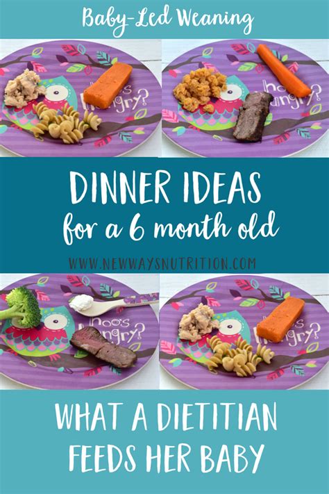 Best baby toys for 10 month olds. Dinner Ideas for a 6 Month Old | New Ways Nutrition | Baby ...