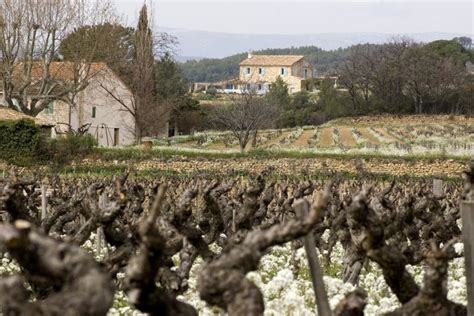Vineyards Of France Stock Image Image Of Colors Harvest 122114495