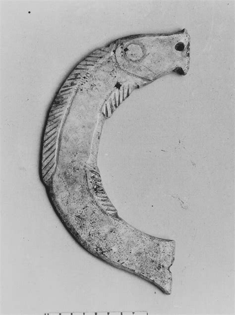 Plaque In The Shape Of A Fish China Shang Ca 16001046 Bce