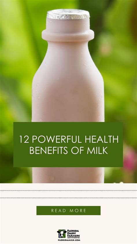 12 Powerful Health Benefits Of Milk In 2023 Milk Benefits Dairy Milk