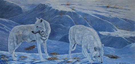 Arctic Wolves Painting By Santo De Vita Fine Art America
