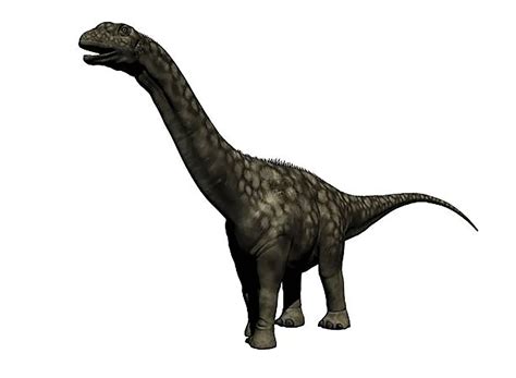 アルゼンチノサウルス 恐竜博物館web