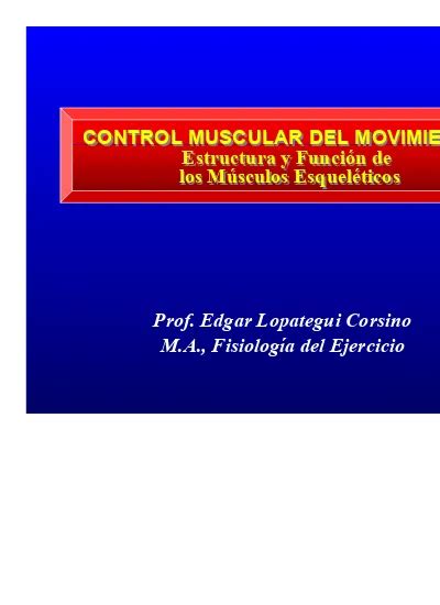 Control Muscular Del Movimiento Estructura Y Función De Los Músculos