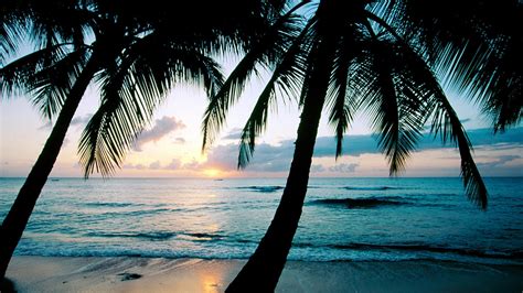 Download Wallpaper 1366x768 Ocean Sunset Palm Trees Hd Background