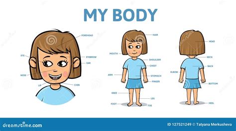 Vocabulary For Parts Of Female Body Cartoon Girl Body With Description