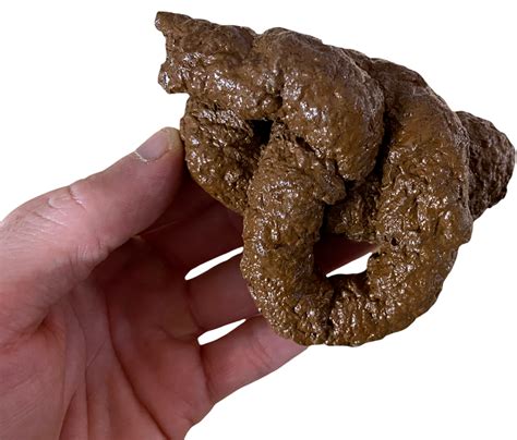 Buy High Quality Fake Dog Poop Poo Realistic Doggy Doo Doo Dirt Joke