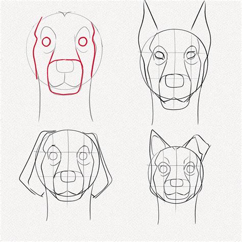Jobb Leszel Rodeó árulás Como Dibujar La Cara De Un Perro Facil