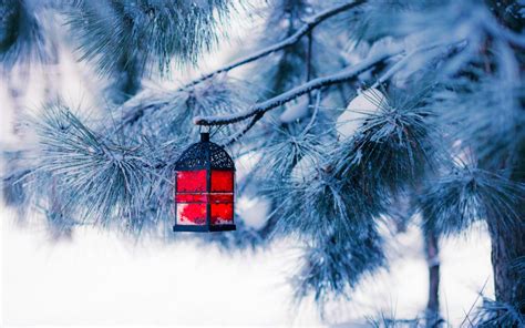 19 Winter Lantern Wallpapers Wallpapersafari