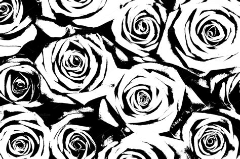 Rose Black And White Background ~ Abstract Photos On