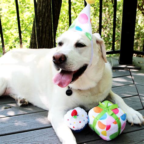 Petemartfriends Birthday