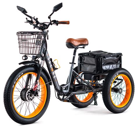 3score Electric Fat Trike 750w Motor And 48v Lithium Rechargeable