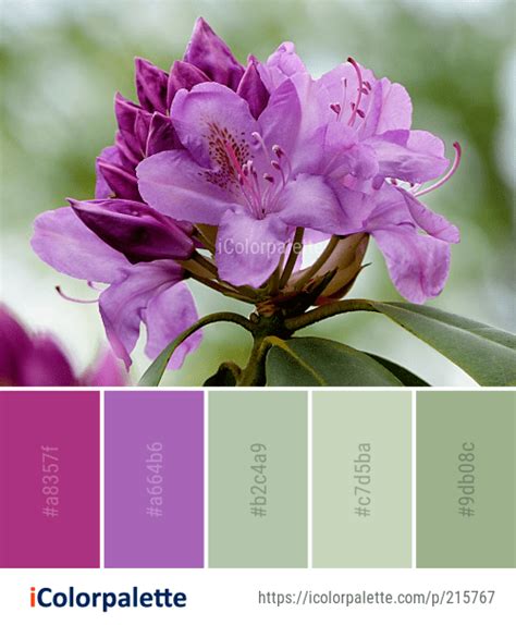 121 Azalea Color Palette Ideas In 2023 Icolorpalette