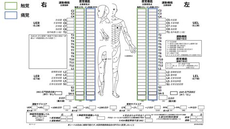 Asia分類｜アメリカ脊髄損傷協会による脊髄損傷の神経学的分類のための国際基準