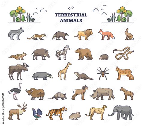 Terrestrial Animals Group As Living Species On Land Outline Collection