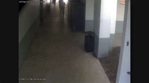 Surveillance video showing police response released from Parkland 
