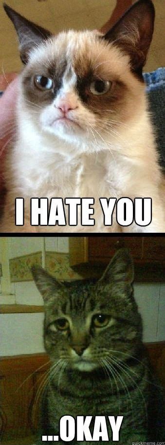 Grumpy Cat I Hate You