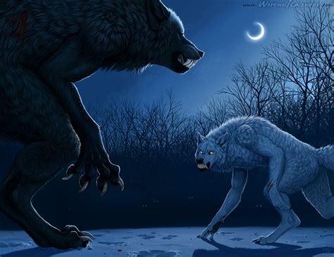 Here you can get the best werewolf wallpapers for your desktop and mobile devices. Download Werewolf Wallpaper 1038x802 | Wallpoper #266906