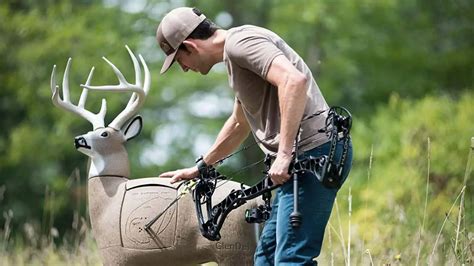 5 Best 3d Archery Targets For Hunting And Shooting 2023
