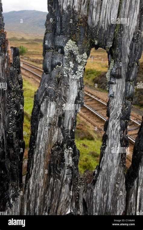 Railway Trackrannoch Moorscotland Stock Photo Alamy