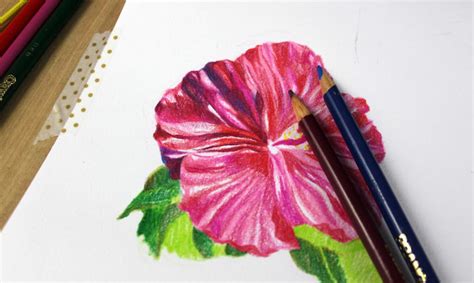 Drawing Flowers With Colored Pencils 5 Simple Steps Craftsy