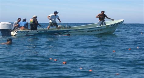 México Décimo Sexto Productor Mundial En Pesca Y Acuacultura