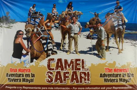Obrázok camel ride tour from cancun and riviera maya, playa maroma: Activities at Maroma beach Playa del Carmen