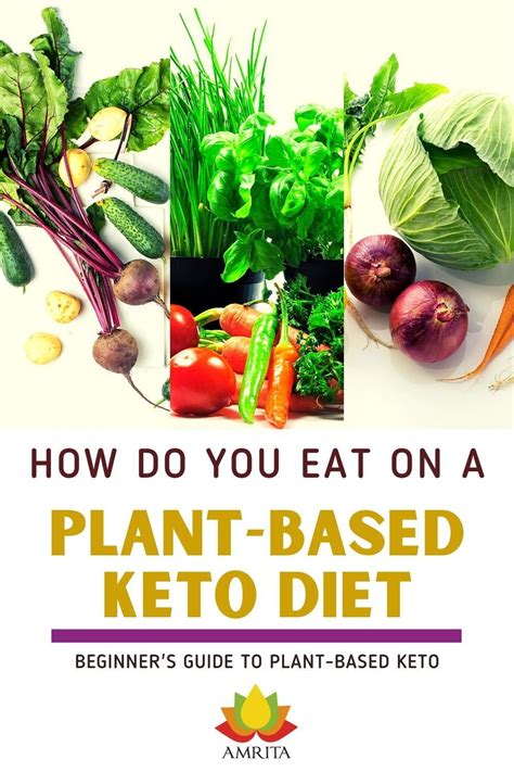 A Beginners Guide To Plant Based Keto Keto Diet For Vegetarians