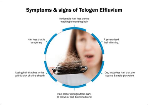 Telogen Effluvium Symptoms Causes Treatment And Prevention Richfeel