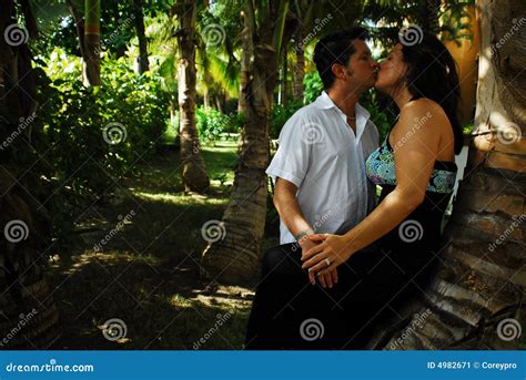Palm Tree Kiss Stock Image Image Of Couple Trees Kissing 4982671