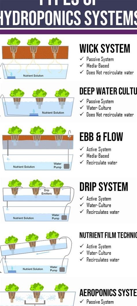 Build Your Own Ebb And Flow Hydroponic System