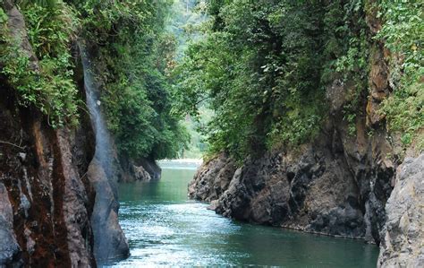 Pacuare River Rafting From San José Tourist Journey